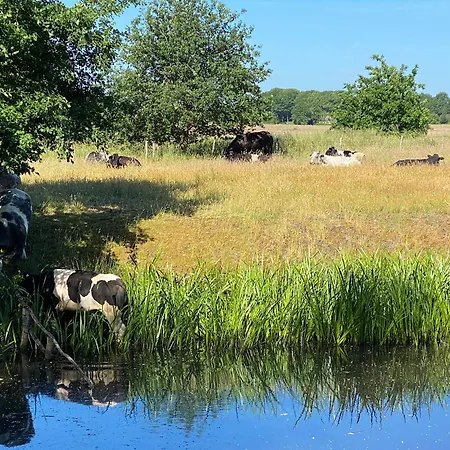 호텔 De Ruwenberg Den Bosch - Sint Michielsgestel