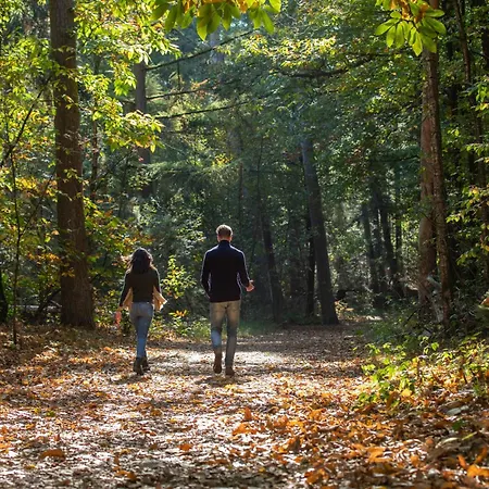 Landgoed De Ruwenberg - Den Bosch 4*