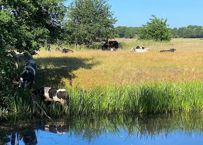 Hotel De Ruwenberg Den Bosch - Sint Michielsgestel